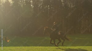 LENS FLARE: Woman gallops on a stallion across pasture with brown mare by side. Beautiful autumn countryside glows in golden morning sunlight as a cheerful female rider canters on her brown horse.