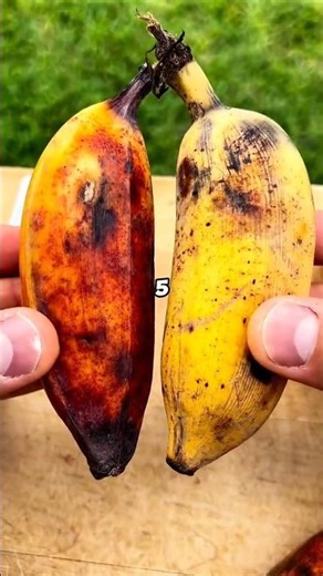 Strangest Origins Of Fruits
