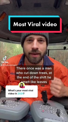 Understanding Tree Plantations and Conservation Efforts