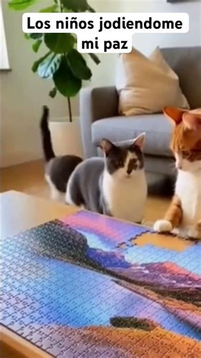 Gato haciendo un puzzle y los otros dos se lo destrozan: ¡A zarpazos! 🐱🧩💥😂