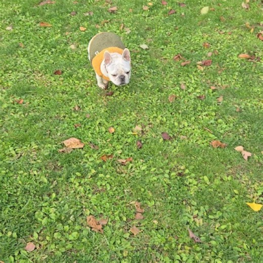 MIC HOUSE on Reels | Facebook