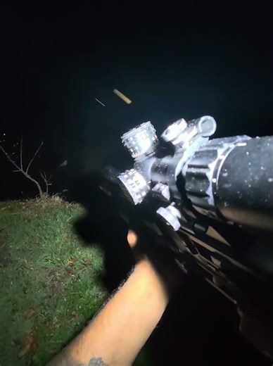 Customer has a tree full of Iguana is eating her garden! #florida #iguana #iguanas #invasivespecies