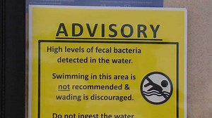 4 New Hampshire beaches under fecal bacteria advisories