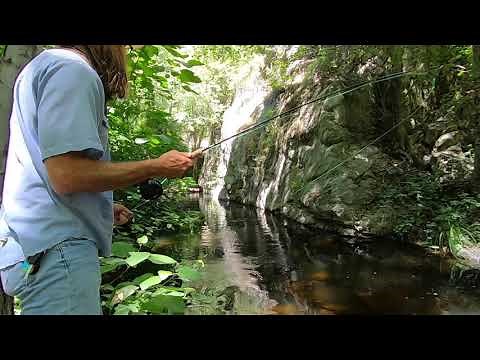 Dry Fly Fishing West Fork of the San Gabriel River // Summer 2020