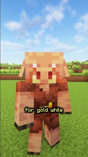 ZOMBIFIED PIGLINS ARE BETTER THAN PIGLINS in Minecraft