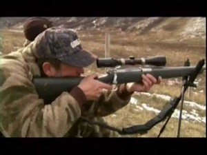 Trophy Mule Deer Hunting in Alberta Canada: Willow Creek Outfitters