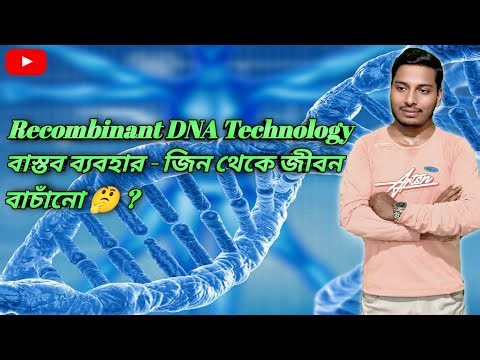 Recombinant DNA Technology দিয়ে কিভাবে পৃথিবীতে মানুষের সমস্যার সমাধান হচ্ছে ? RDT 🧬application ?