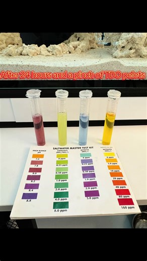 It’s been a week since we started cycling the 25 G lagoon showing a realistic cycle timeline with Fritz turbo 900 and Fritz fishless cycle . Patience is key in the game #saltwateraquarium #reeftank #reef #reefaquarium #saltwatertank