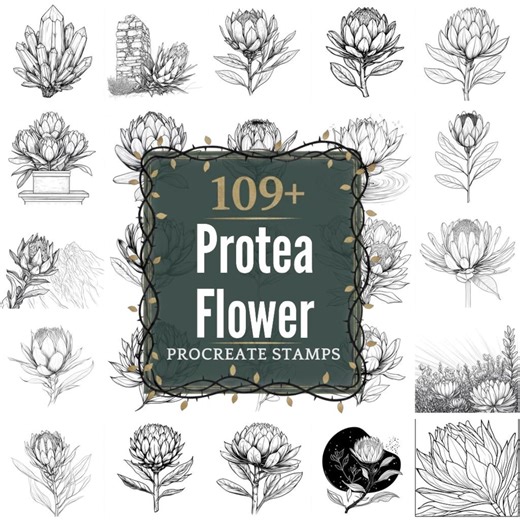 Protea Blume Procreate Briefmarken | PNG | 109  detaillierte Illustrationen (Digitaler Download) - Etsy.de