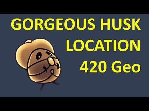 HOLLOW KNIGHT - Gorgeous Husk Location