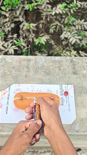 #experiment cake Challenge🤑#funny #funny #comedy #experiment