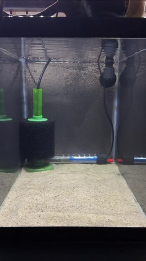 28K views · 1.8K reactions | A NEW Scape in This Ram Breeding Tank!  #botanical #driftwood #autumn #aquascape #dakuaquatics #fishkeeping #aquarium #aquariumhobby #fish #aquascape #freshwateraquarium #aquariumfish #plantedtank #aquariums #tropicalfish #fishkeeper #aquascaping #aquariumlife #plantedaquarium #nanofish #aquariumsofinstagram #freshwaterfish #freshwatertank #aquascaper #natureaquarium #freshwater #fishofinstagram #nature #nanotank #fishroom | Daku Aquatics | Facebook