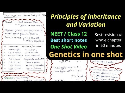 Principles of Inheritance and Variation Mind map || Genetics | One shot Video Class 12 Best revision