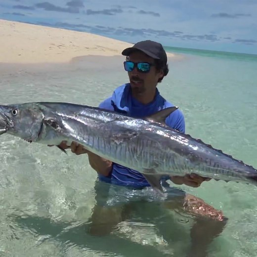 1.4K views · 78 reactions | Jack Fin Lures Review! Apart from being fish catching machines, Colby tells us why he loves Jack Fin Lures and rates them so highly! Check it out and tell us why you love them too! Colby Lesko Fishing | Jack Fin - official | Facebook