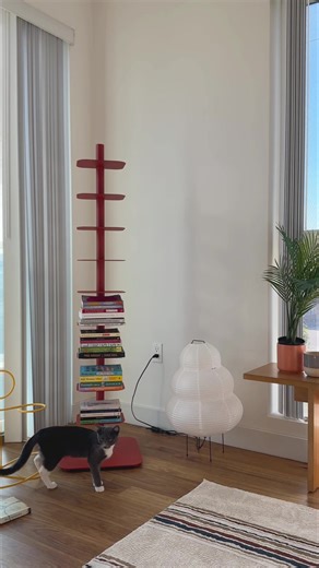 🏡#homedecor #designwithinreach #storybookcase