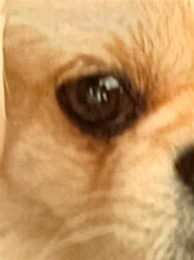 #rubius #cr7 #viraltiktok #fypシ