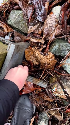 Secrets in Geocaching: Guarding Your Finds