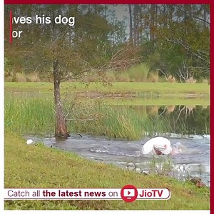 The video of a Florida man, Richard Wilbanks, 74, went viral, showing him jump into a pond to pull his 3-month-old puppy, Gunner, away from the alligator. #Florida #doglovers #alligator #petlovers | JioTV | Facebook
