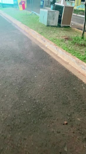 Lucas Neto Neto no TikTok