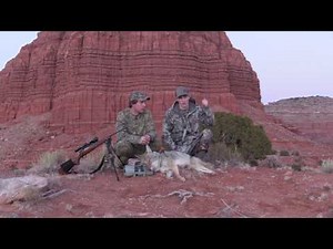 Coyote Hunting Arizona Episode #6