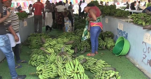 Angola’s 10th edition of banana fair comes to an end | Africanews