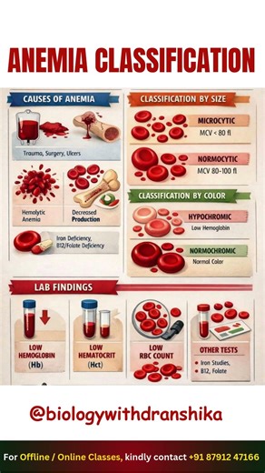 Anemia Classification 🩸#anemia #classification #hematology #blooddisorders #rbc #hemoglobin
