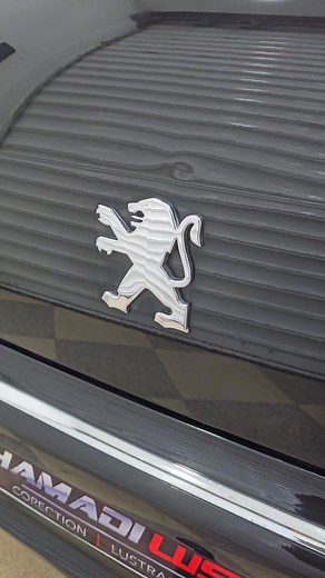 9.1K views · 229 reactions | #خبير_التلميع #detailing 0657 269456 M"sila 607 | Hamadi Lustrage خبير التلميع | Facebook