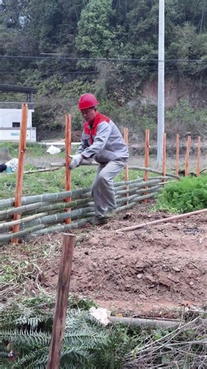 Building Woven Bamboo Fence