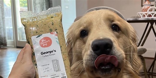 Alex Drummond’s dog is ‘obsessed’ with his food—and it’s now available at Walmart