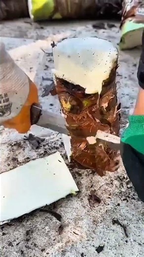 how to peel the taro tree trunk very neatly
