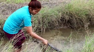 How to Dangerous this type of Fish Hunting at Cambodia  (part 038)