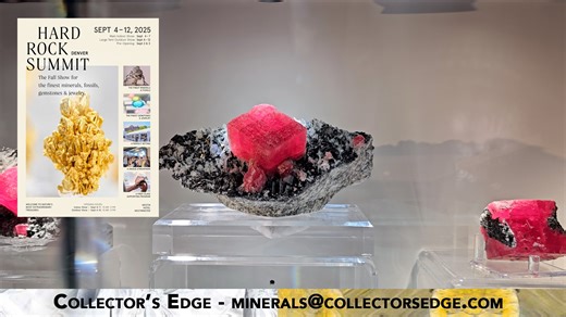 29 reactions | Christopher Clark and I can talk for HOURS about a...