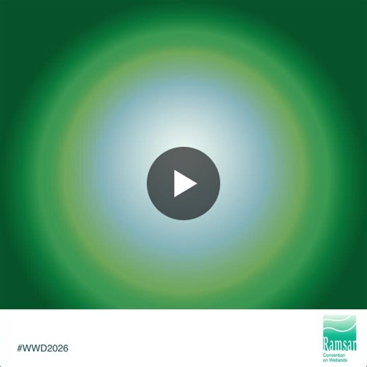 #wwd2026 | Ghana Wildlife Society