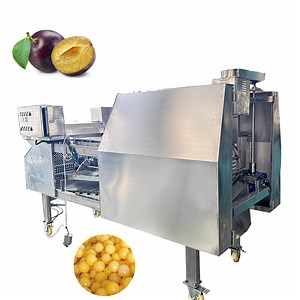 [Hot Item] Automatic Cherry Pit Removing Machine Cherry Destoner Machine Electric Cherry Pitter Machine