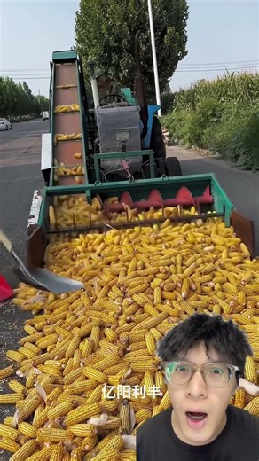 Xe phân loại mấy trái bắp #shorts #viralvideo