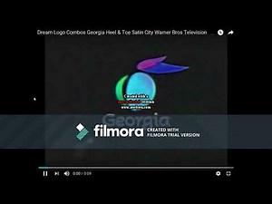 Georgia Logo Effects Reversed