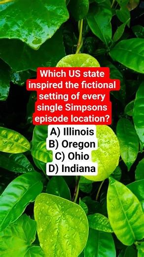 Which US state inspired the fictional setting of every single Simpsons episode location?
