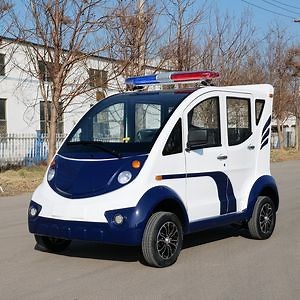 [Hot Item] High-Performance Electric Golf Cart with Custom Features and Design