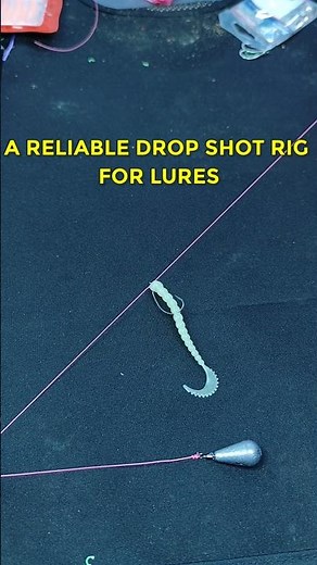 This Drop Shot Rig Makes Your Lure Look Alive (Easy Setup)