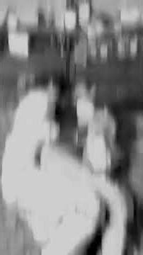 New 💫 Timli status 2025||Dj Remix 💗Gujarati Timli WhatsApp status 2025||Gujarati🤩 Whatsapp Status