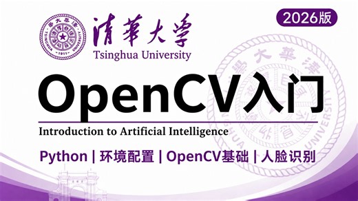 【2026优化版】清华大学196小时讲完的OpenCV从入门到精通全套教程，全程干货无废话！学完变大佬！这还学不会我退出IT圈！计算机视觉/Python