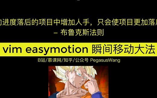 vim easymotion 瞬间移动大法