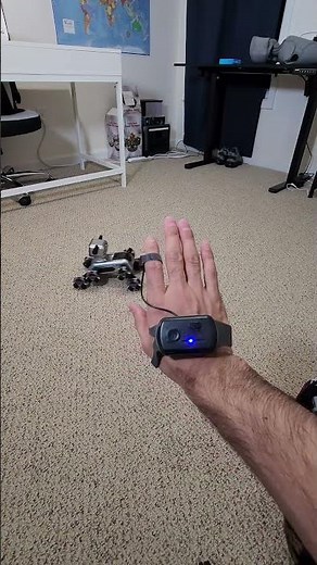 Remote Controlled Robot Dog for Kids | Gesture Sensing Stunt Dog with Music & Lights