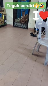 Sepetang bersama sikembar🫢🥰👶🧑‍🦲bila off day atau keje mlm. Siang blh. La abah main dgn sikembar🫢🤣 @highlight #sorotansemuaorg #reelschallenge #Alhamdulillah #facebookviral #autismawareness #autism #sorotan #fighter #medical | Kail Kembar