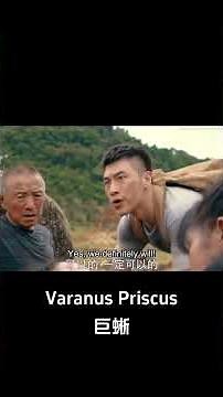 A giant lizard versus a giant snake: who will prevail? |【巨蜥 Varanus Priscus】| YOUKU MOVIE | 优酷电影