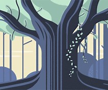 Why do we knock on wood?