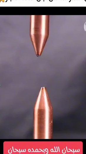 Exploring Various Screw Types and Driving Techniques