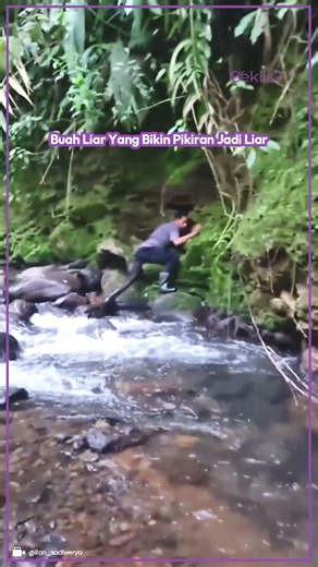 ⚠️ Jangan Asal Makan Buah Liar Ini Saat Hiking!