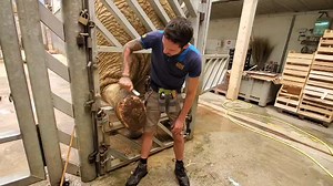 1.1K views · 52 reactions | ELEPHANT BUSINESS INC. June 22, 2021. BEAUVAL ZOO PARK, FRANCE. Matthieu is trmming the rear pads of one of the seven elephants he and the elephant care team have responsibility for. | Elephant business Inc | Facebook