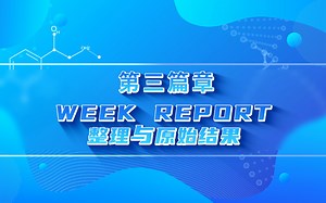 《实验室规范》第三篇章：Week Report整理与原始结果